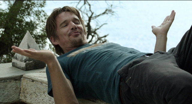 Wide shot frame from Before Midnight — shirt, beard, face