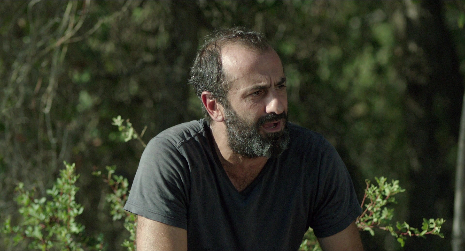 Before Midnight (2013), wide, 1.85:1 — film still