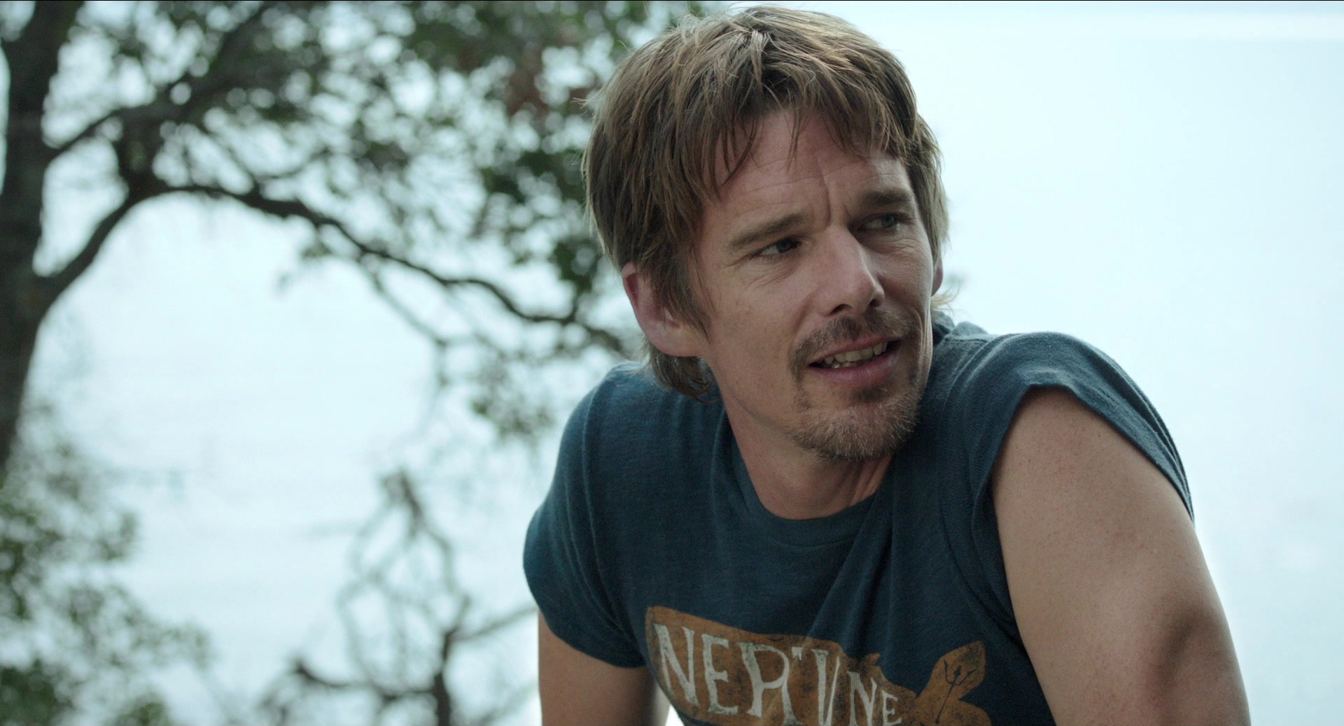Before Midnight (2013), medium, 1.85:1 — film still