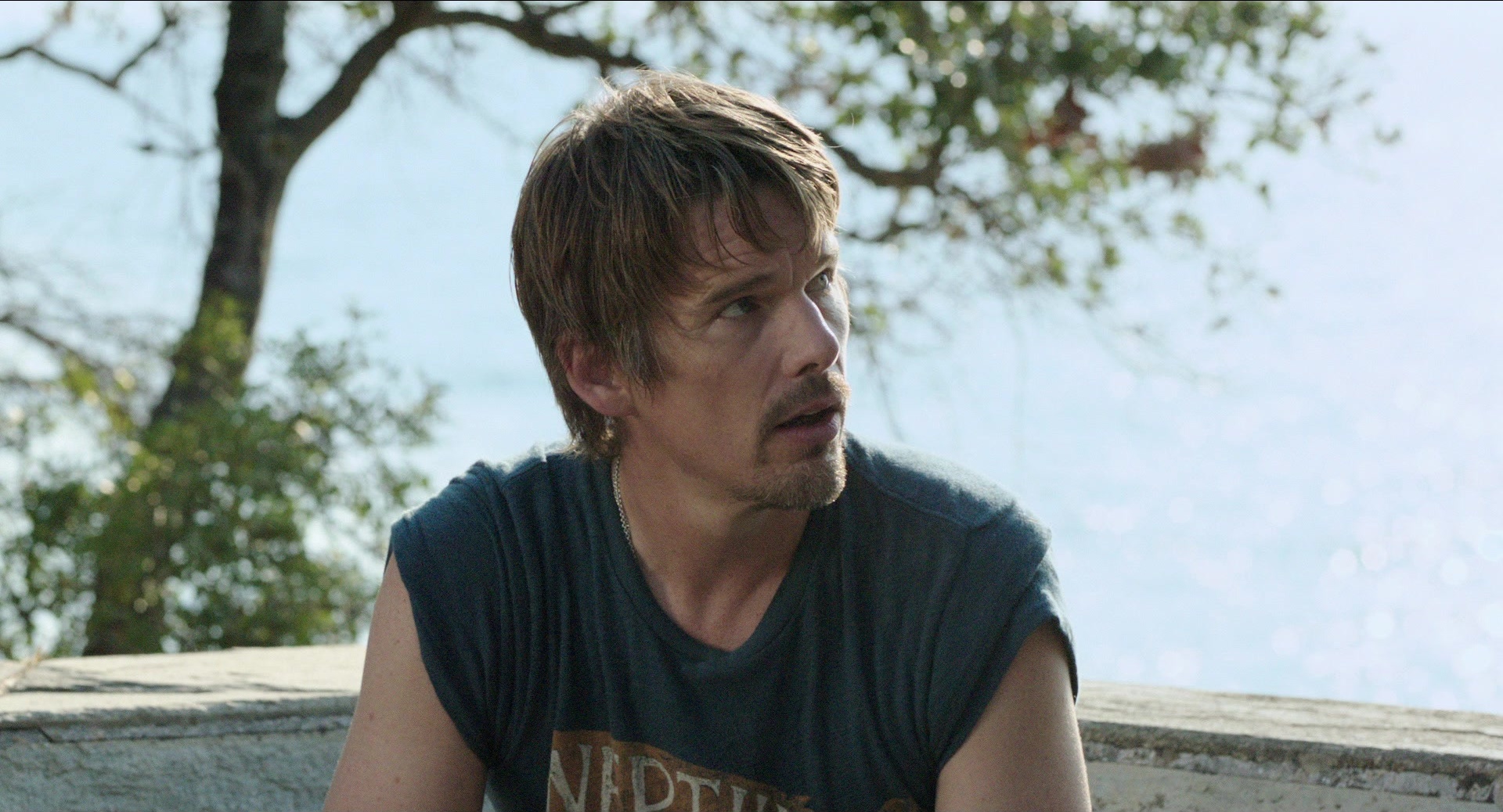 Before Midnight (2013), wide, 1.85:1 — film still