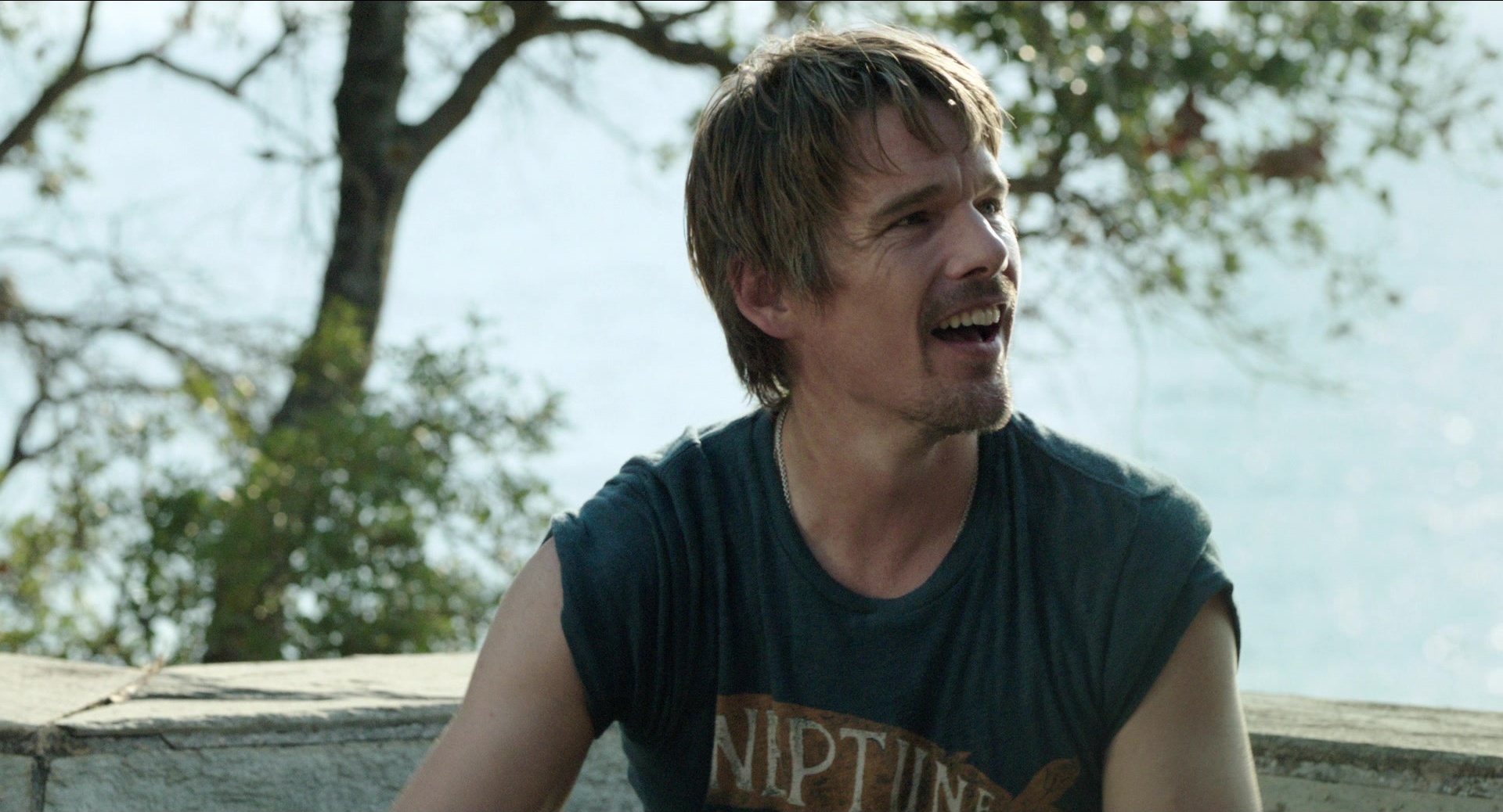 Before Midnight (2013), wide, 1.85:1 — film still
