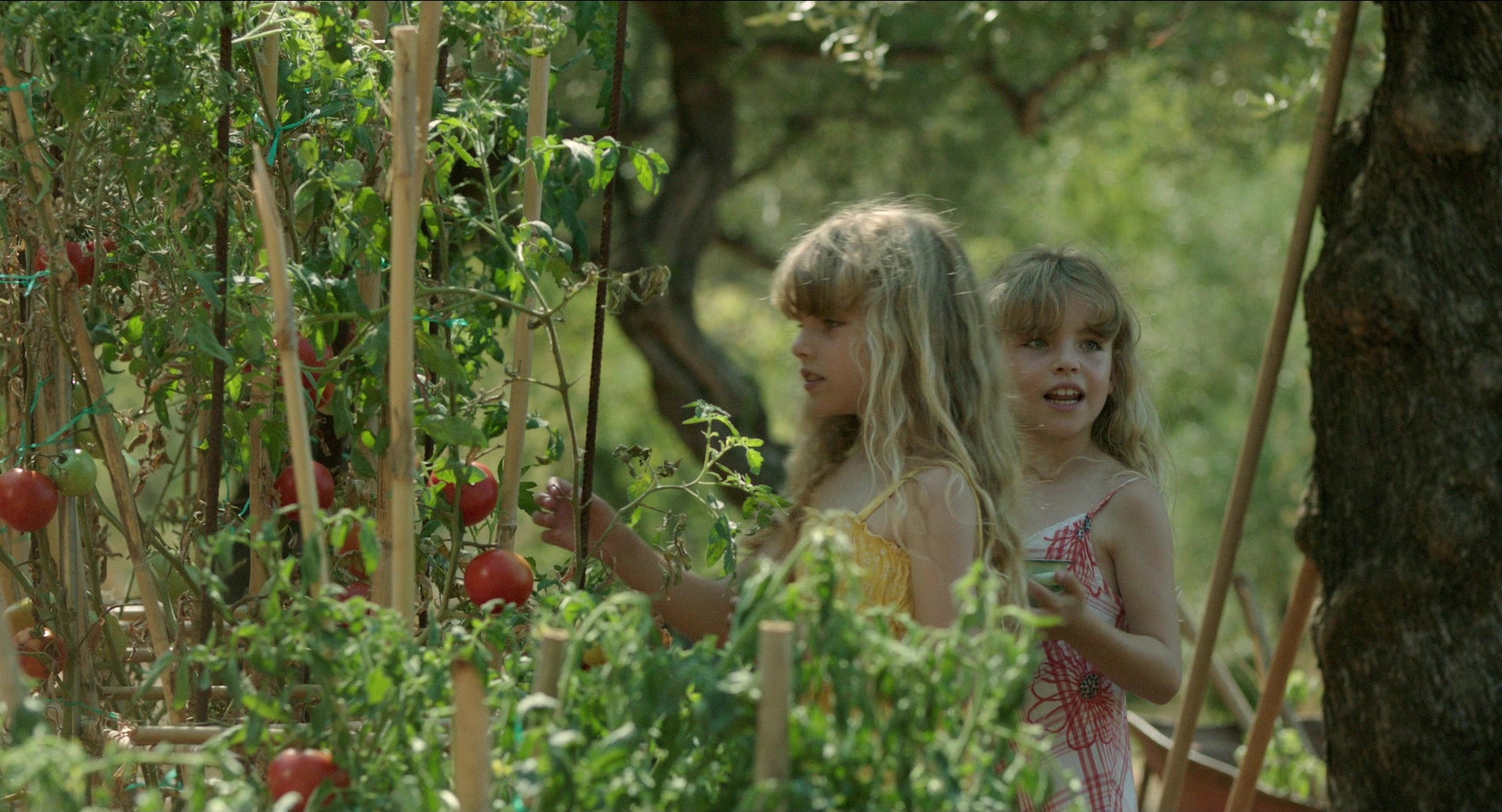 Before Midnight (2013), wide, 1.85:1 — film still
