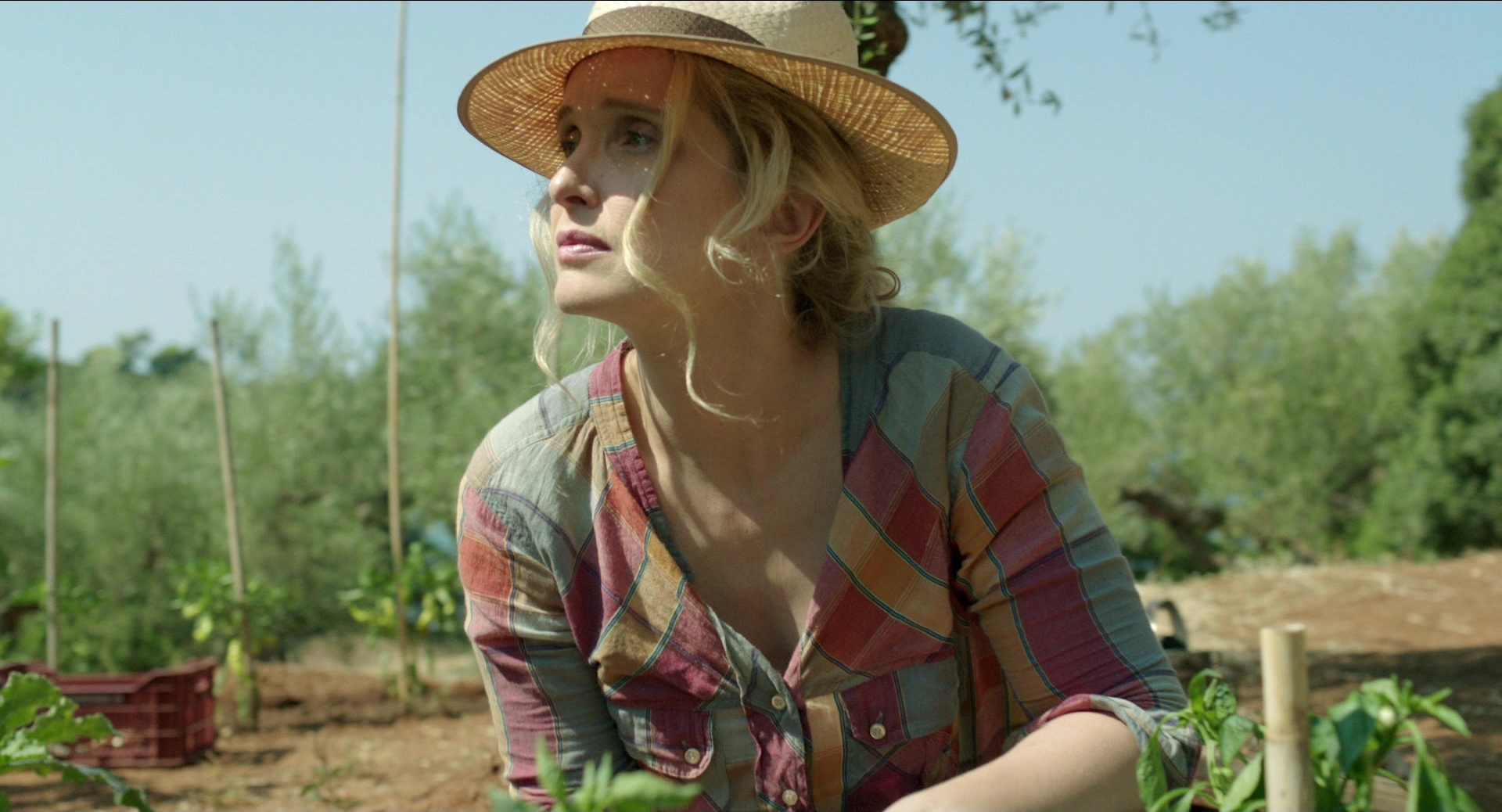 Before Midnight (2013), wide, 1.85:1 — film still