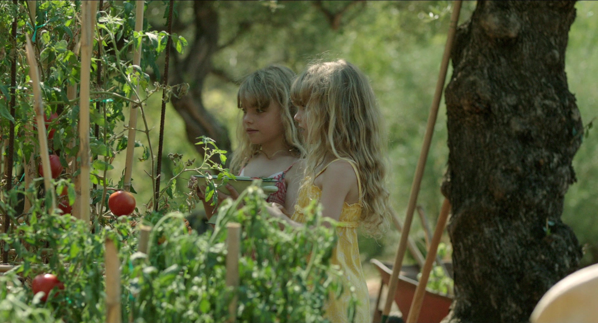 Before Midnight (2013), wide, 1.85:1 — film still
