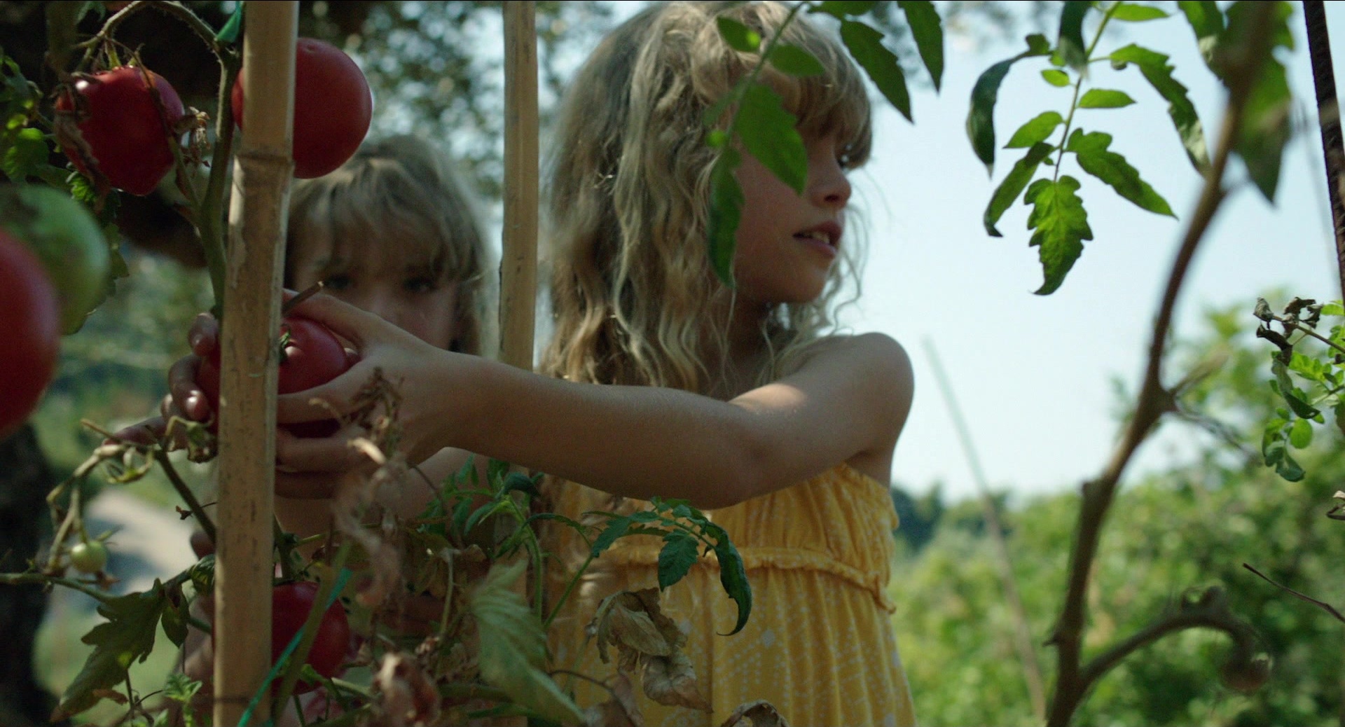 Before Midnight (2013), medium, 1.85:1 — film still