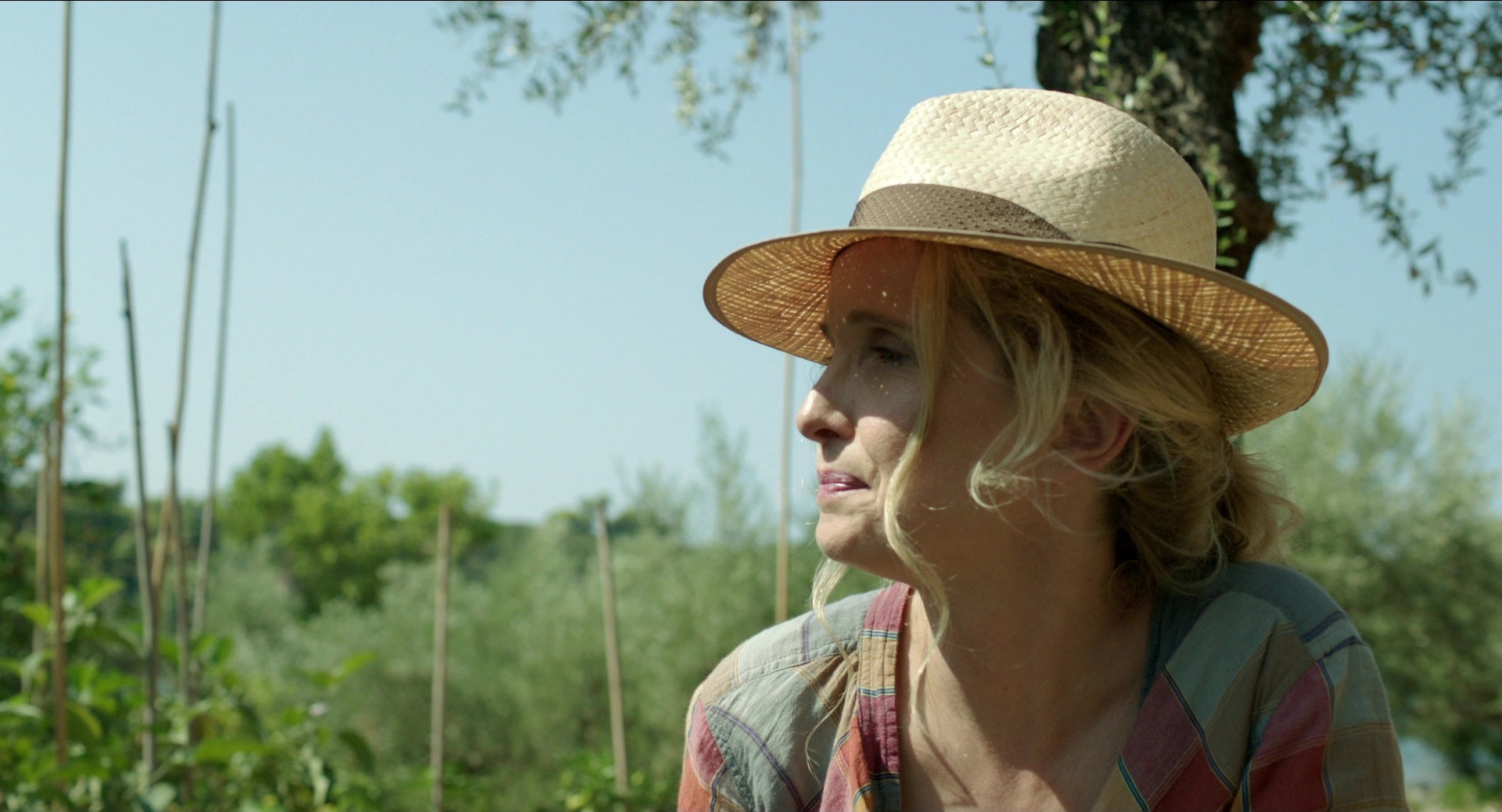 Before Midnight (2013), wide, 1.85:1 — film still