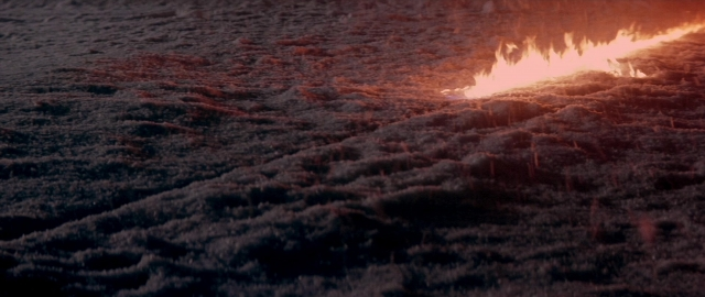 Frame from Die Hard 2 — marine invertebrates