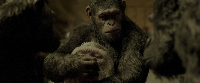 War for the Planet of the Apes — film still
