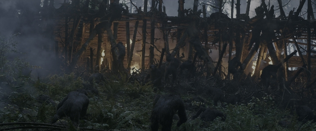 War for the Planet of the Apes — film still