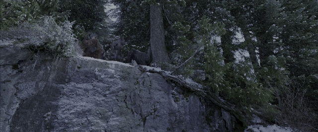 Wide shot frame from War for the Planet of the Apes — standing, animal, snow