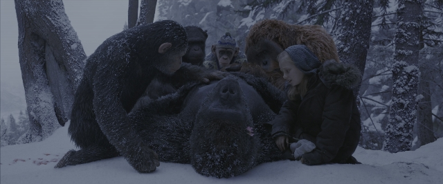 Wide shot frame from War for the Planet of the Apes — sitting, standing, monkey