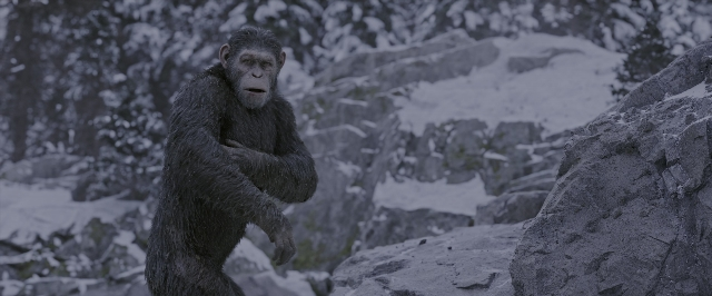 Wide shot frame from War for the Planet of the Apes — standing, monkey, face
