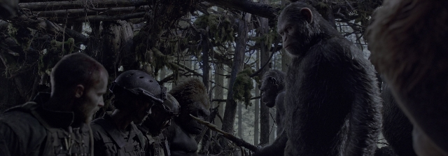 Wide shot frame from War for the Planet of the Apes — standing, animal, beard