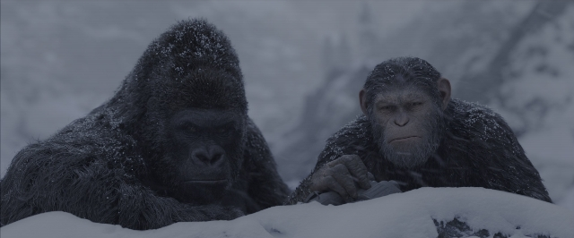 Wide shot frame from War for the Planet of the Apes — sitting, monkey, face