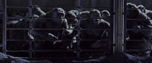 Wide shot frame from War for the Planet of the Apes — sitting, standing, monkey