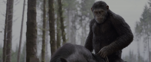 Wide shot frame from War for the Planet of the Apes — sitting, monkey, animal
