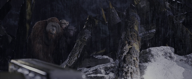 Wide shot frame from War for the Planet of the Apes — standing, animal, snow