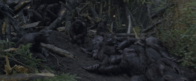 Wide shot frame from War for the Planet of the Apes — sitting, standing, animal