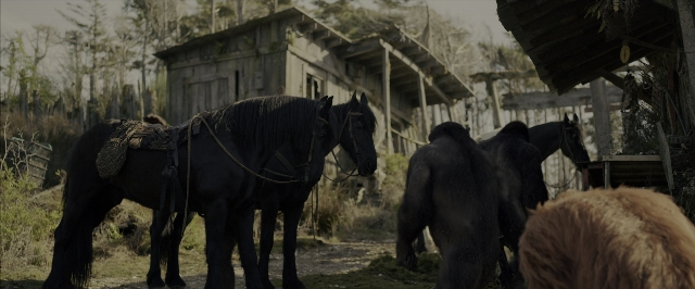 Wide shot frame from War for the Planet of the Apes — standing, horse