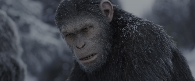 War for the Planet of the Apes — film still