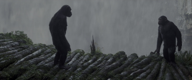 Wide shot frame from War for the Planet of the Apes — standing, monkey, animal