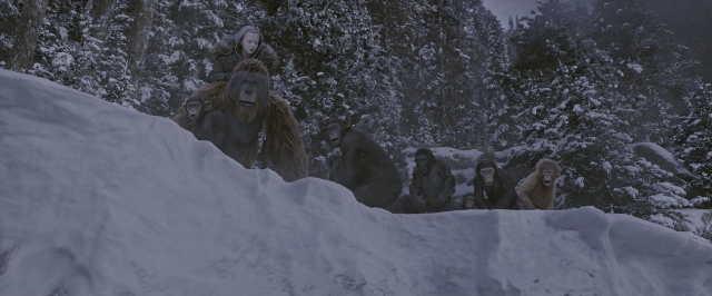 Wide shot frame from War for the Planet of the Apes — sitting, standing, animal