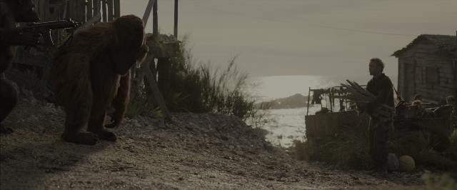 Wide shot frame from War for the Planet of the Apes — standing, animal, hand