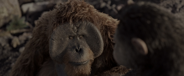War for the Planet of the Apes — film still
