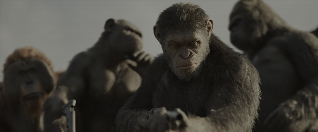 War for the Planet of the Apes — film still