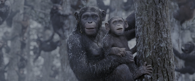 Wide shot frame from War for the Planet of the Apes — sitting, monkey, human face