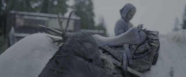 Wide shot frame from War for the Planet of the Apes — animal, horse, person