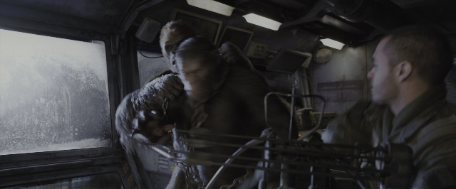 seria-338463.jpg