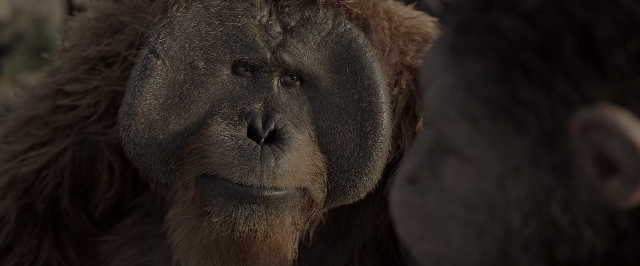 War for the Planet of the Apes — film still