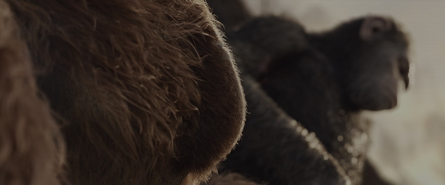 Wide shot frame from War for the Planet of the Apes — animal