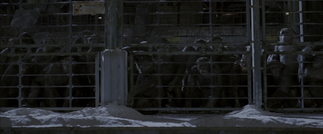 Wide shot frame from War for the Planet of the Apes — sitting, snow, window