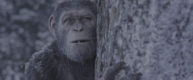 War for the Planet of the Apes — film still