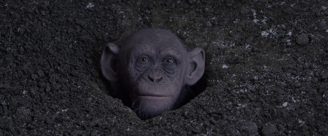 War for the Planet of the Apes — film still