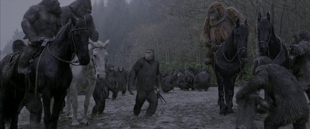 Wide shot frame from War for the Planet of the Apes — sitting, walking, animal