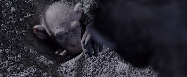 Wide shot frame from War for the Planet of the Apes — animal, dog, hand