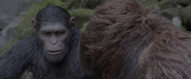 Medium shot frame from War for the Planet of the Apes — sitting, monkey