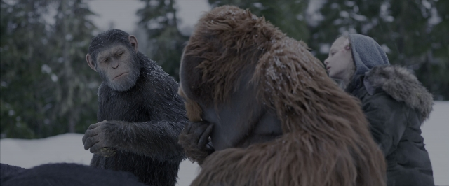 War for the Planet of the Apes — film still