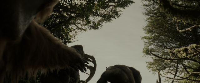 Wide shot frame from War for the Planet of the Apes — standing, walking, animal