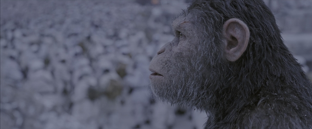 War for the Planet of the Apes — film still