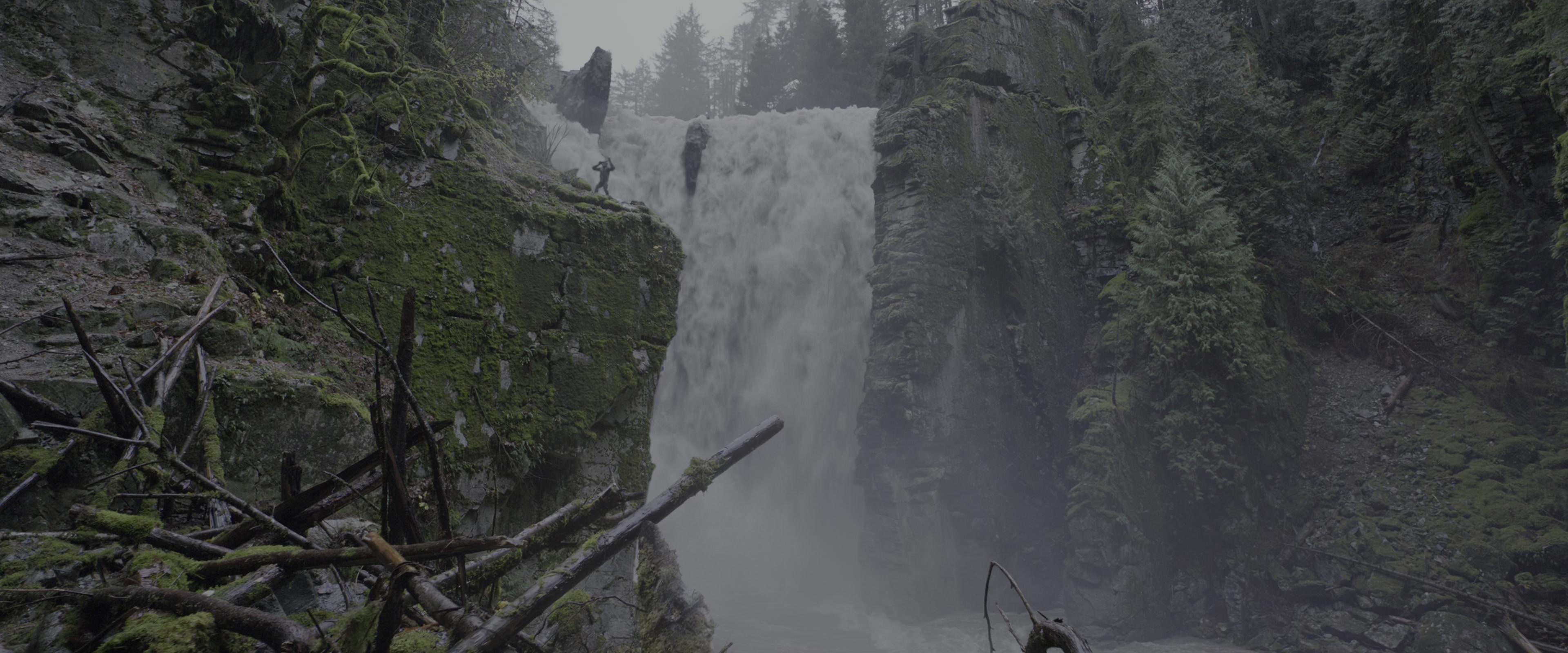 War for the Planet of the Apes (2017), wide, 2.40:1 — film still