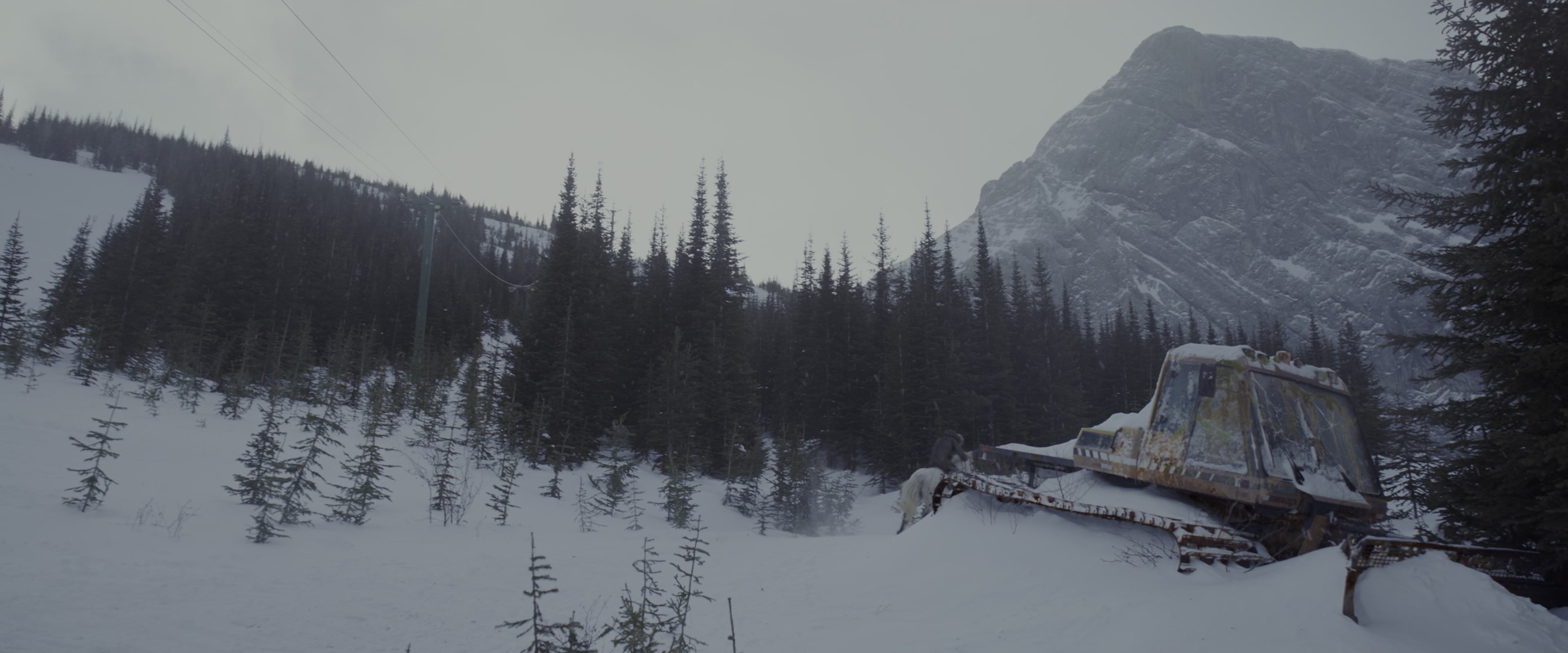 War for the Planet of the Apes (2017), wide, 2.40:1 — film still