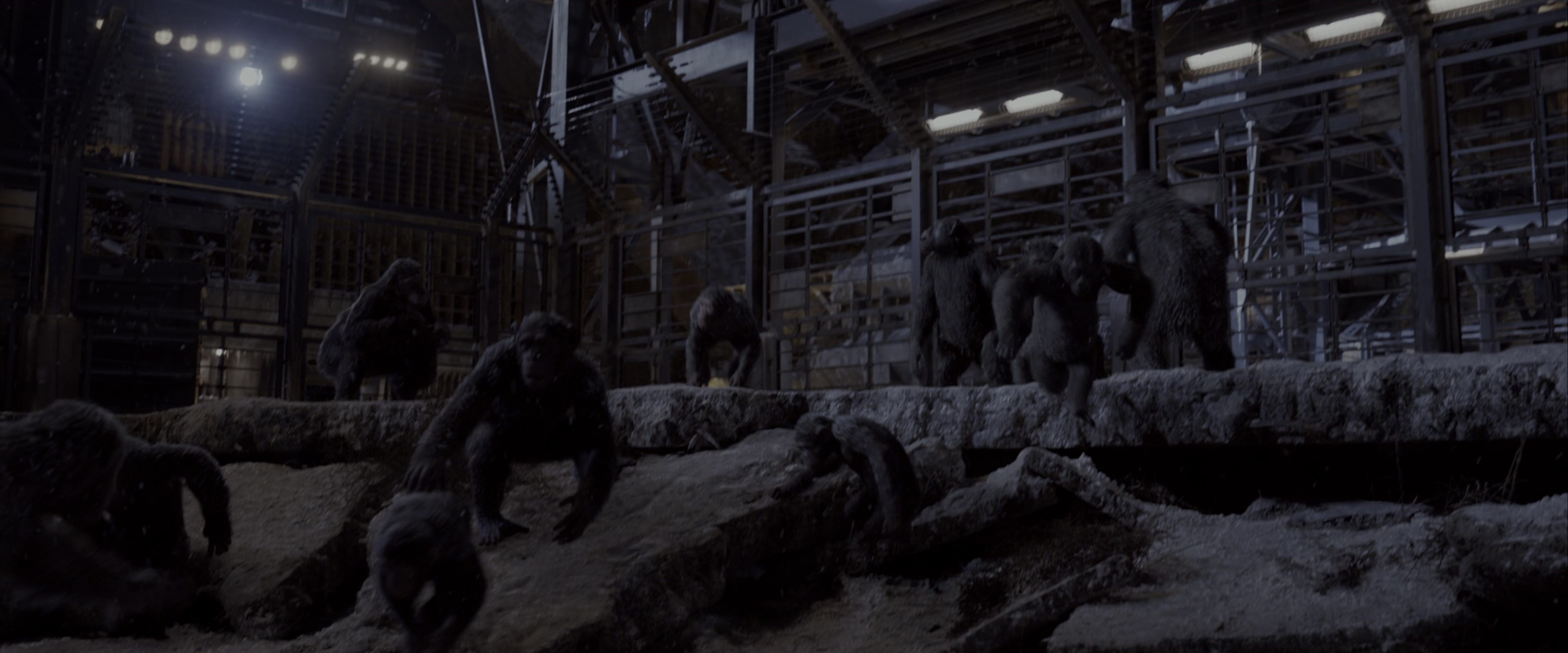 War for the Planet of the Apes (2017), wide, 2.40:1 — film still