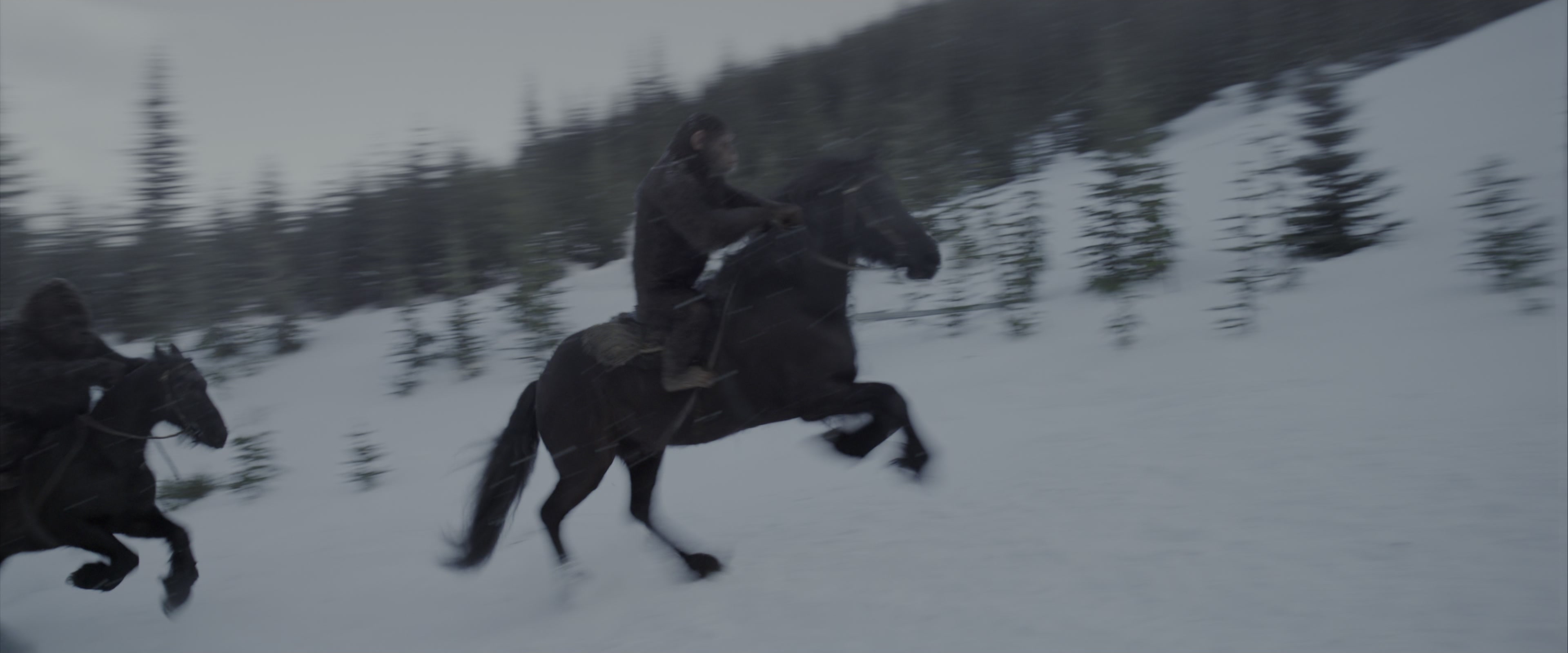War for the Planet of the Apes (2017), wide, 2.40:1 — film still