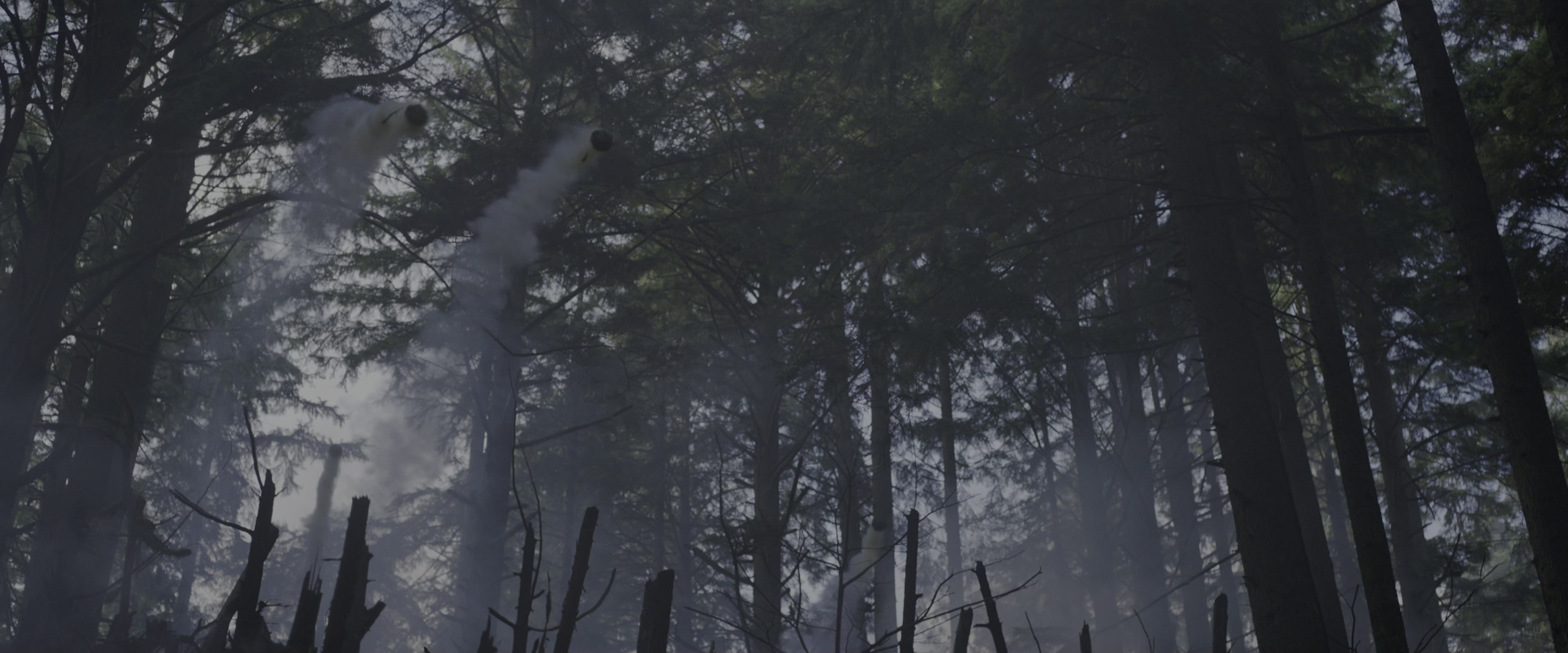 War for the Planet of the Apes (2017), wide, 2.40:1 — film still