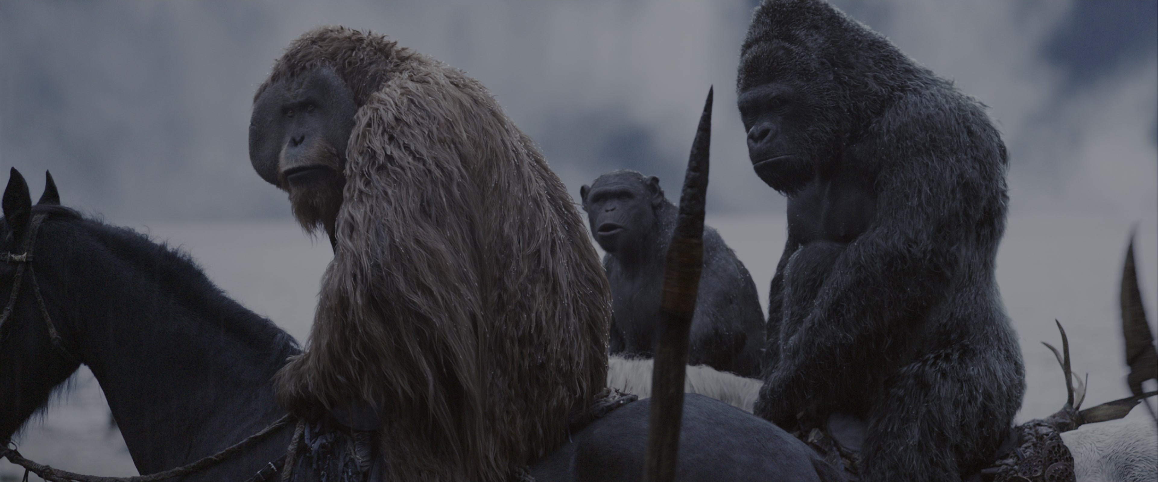 War for the Planet of the Apes (2017), wide, 2.40:1 — film still