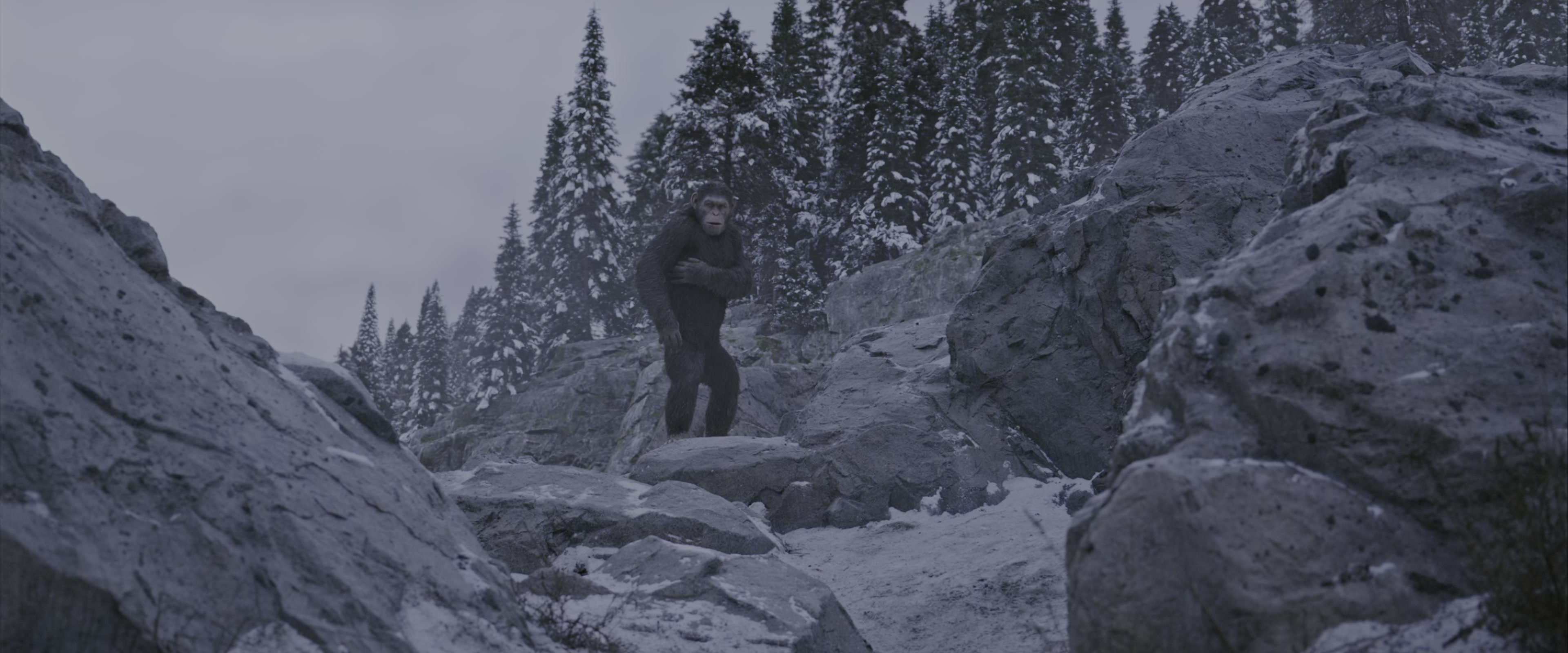 War for the Planet of the Apes (2017), wide, 2.40:1 — film still